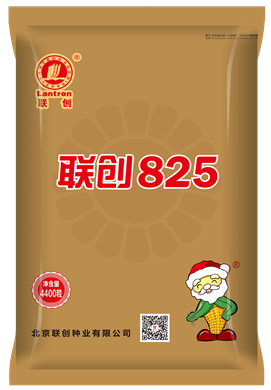 银娱优越会825