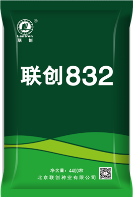 银娱优越会832