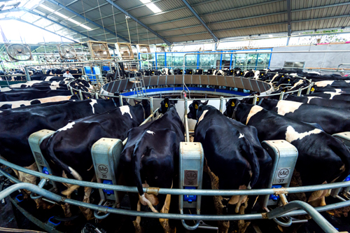 百乐博-非凡想象力,引发无限可能